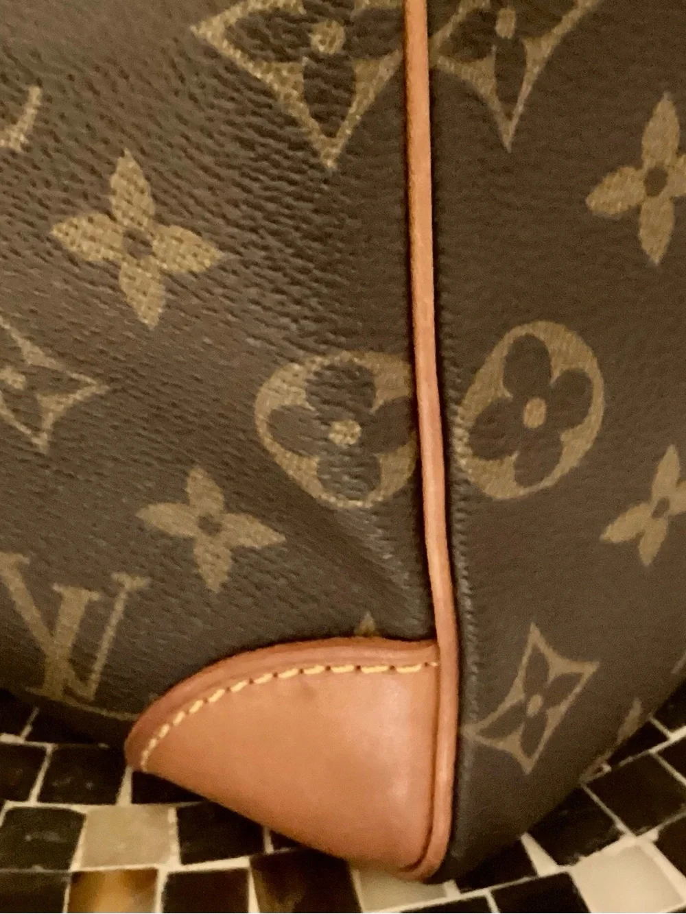 Louis Vuitton Monogram Nile Unisex GM Canvas Bag in Brown - Picture 6 of 16